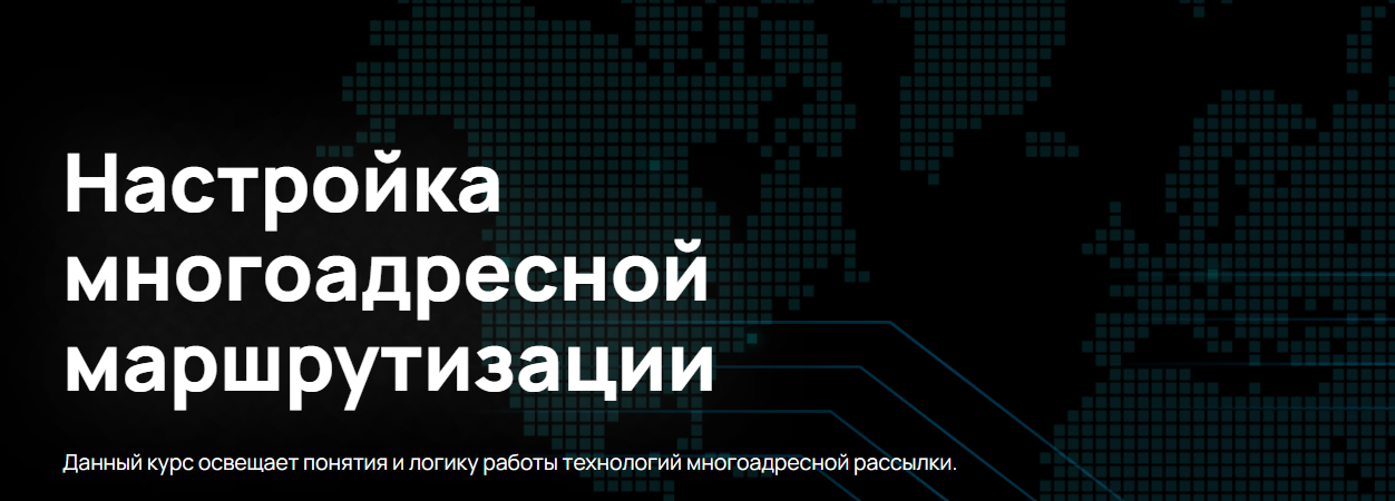 [n4e.ru] Алексей Гусев — Настройка многоадресной м_0.png